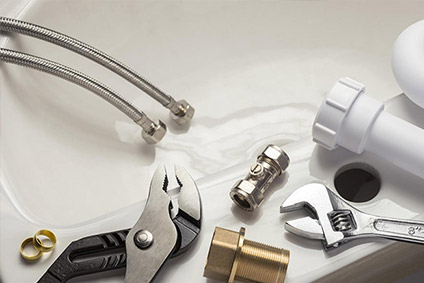 Société de dératisation et désinsectisation à Casablanca et partout au Maroc